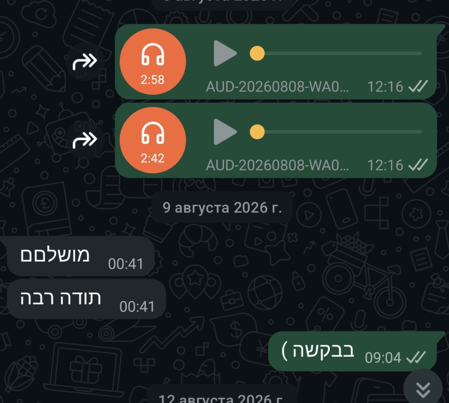 צילום מסך של הודעת לקוח 4
